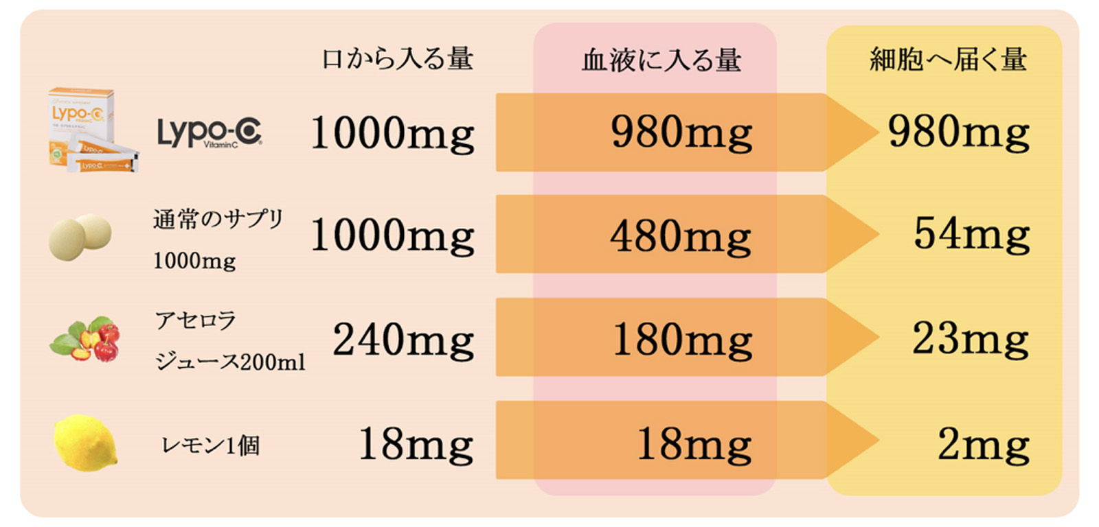 リポCは何が違うのか